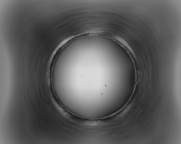 X0000086300939200704201940