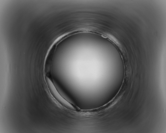 X0000086300940200704201940