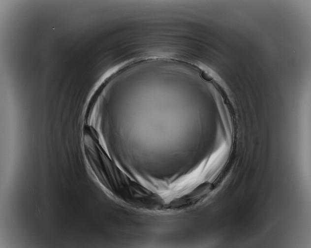 X0000086300941200704201940