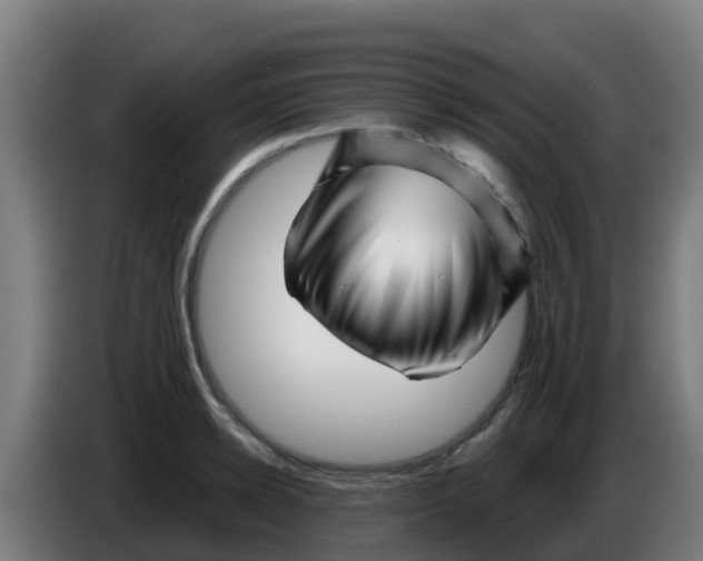 X0000086300942200704201940