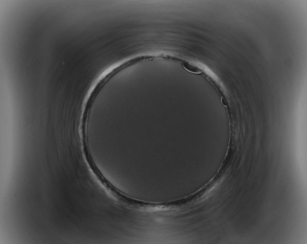 X0000086300943200704201940