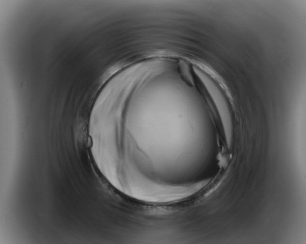 X0000086300945200704201940