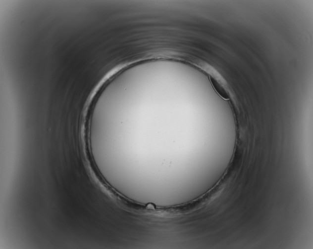 X0000086300947200704201940