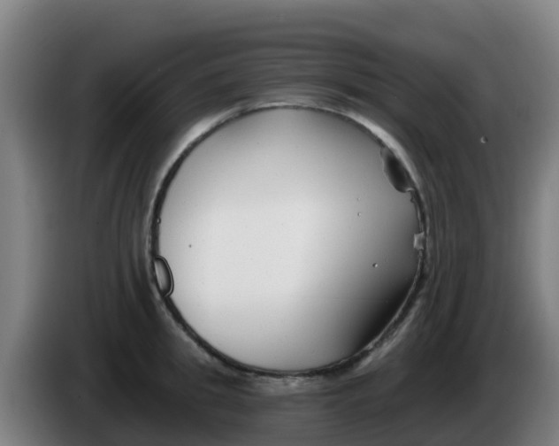 X0000086300949200704201940