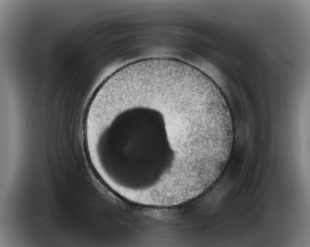 X0000086300950200704201940