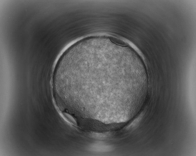 X0000086300951200704201940