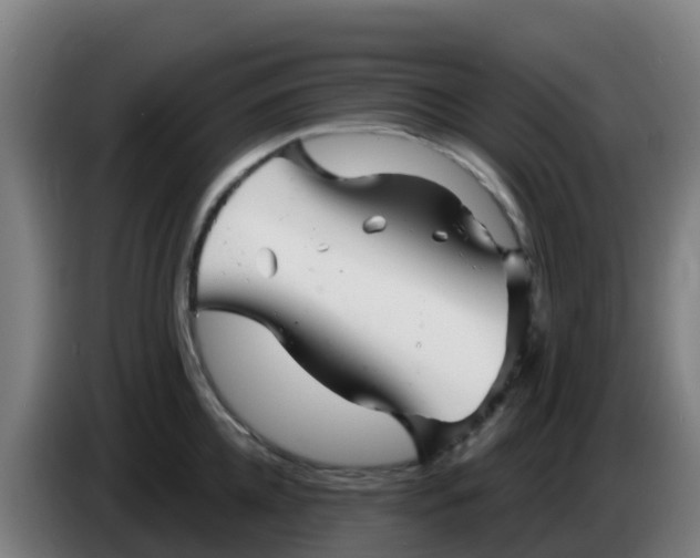 X0000086300952200704201940