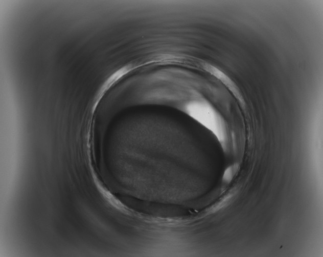 X0000086300954200704201940