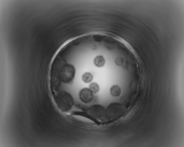 X0000086300955200704201940