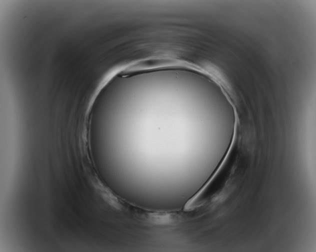 X0000086300956200704201940