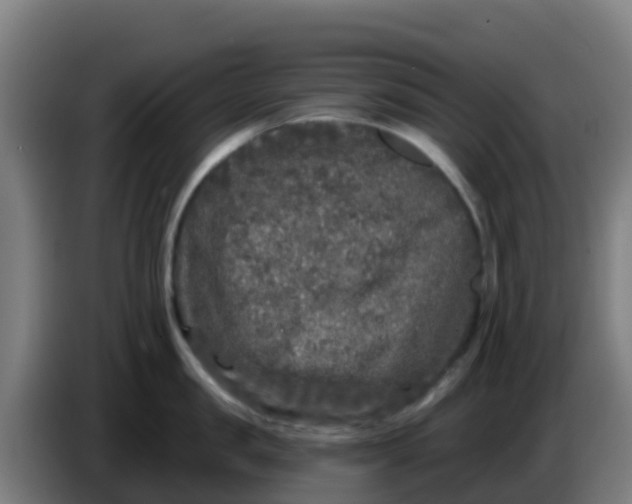 X0000086300957200704201940