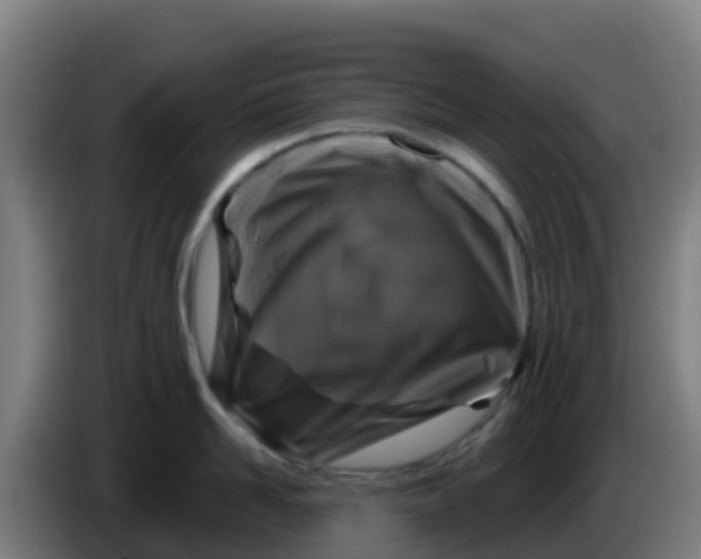 X0000086300958200704201940