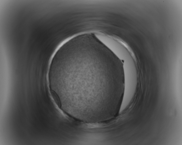 X0000086300959200704201940