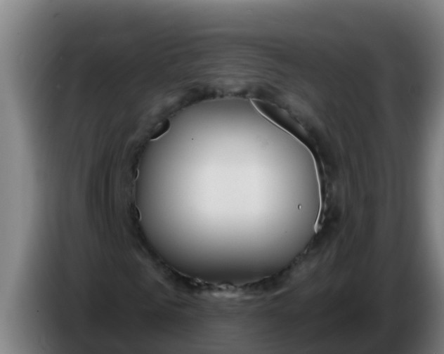 X0000086300961200704201939