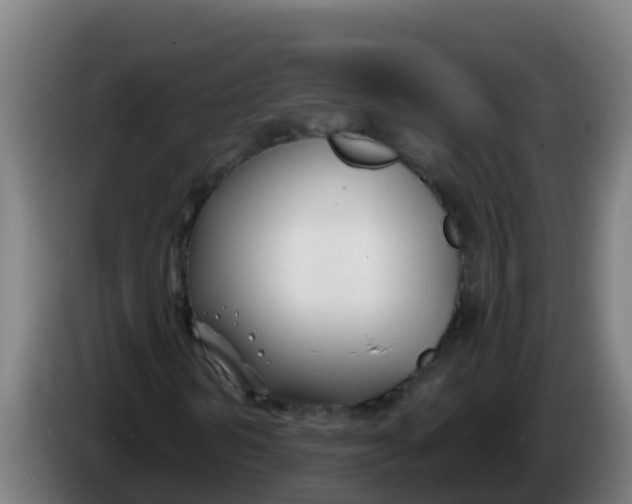 X0000086300962200704201939