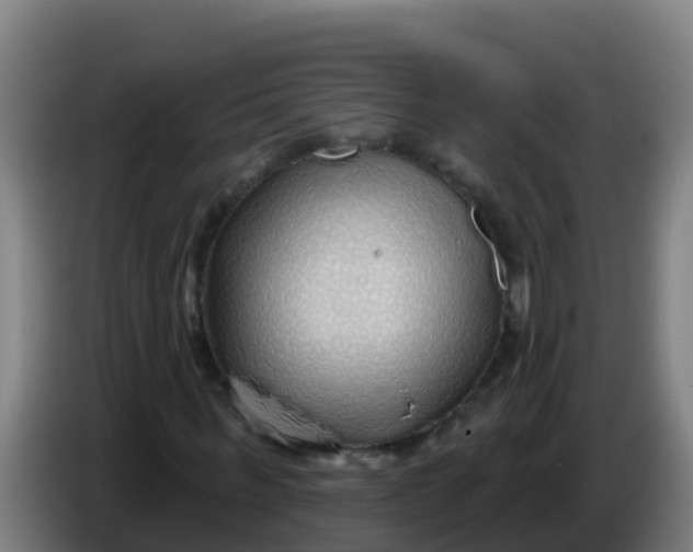 X0000086300963200704201939