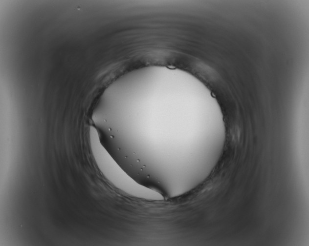 X0000086300964200704201939