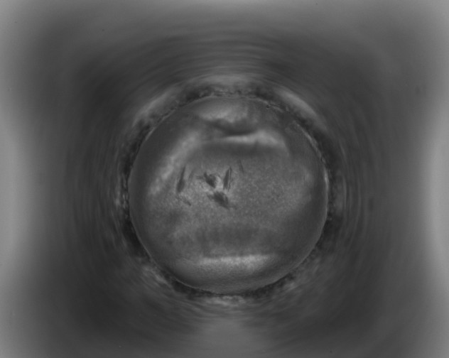 X0000086300966200704201939