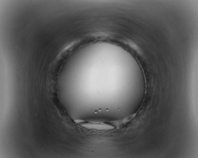 X0000086300967200704201939