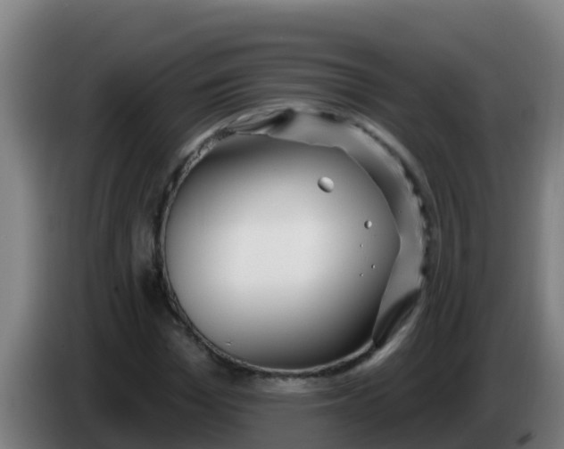 X0000086300969200704201939