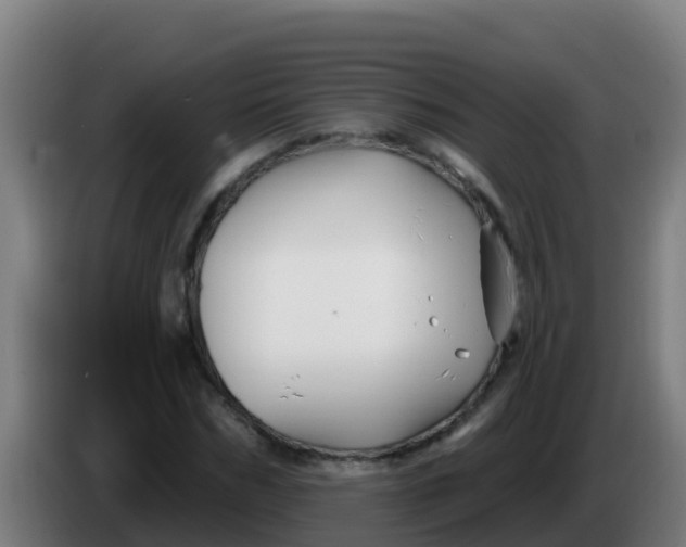 X0000086300970200704201939