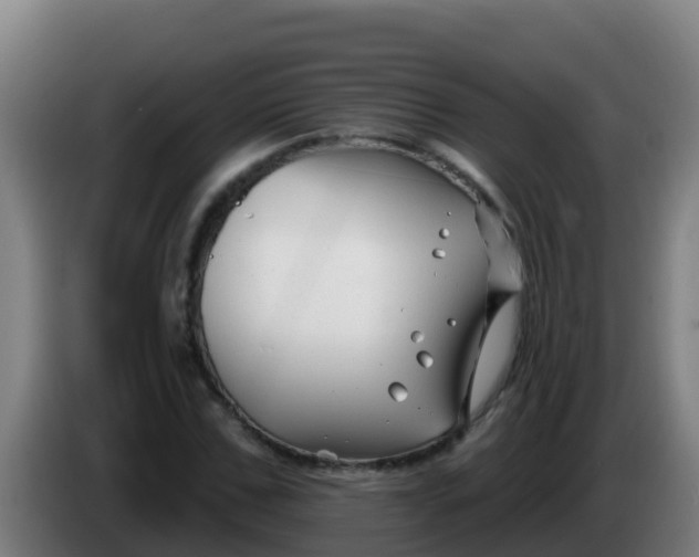 X0000086300971200704201939