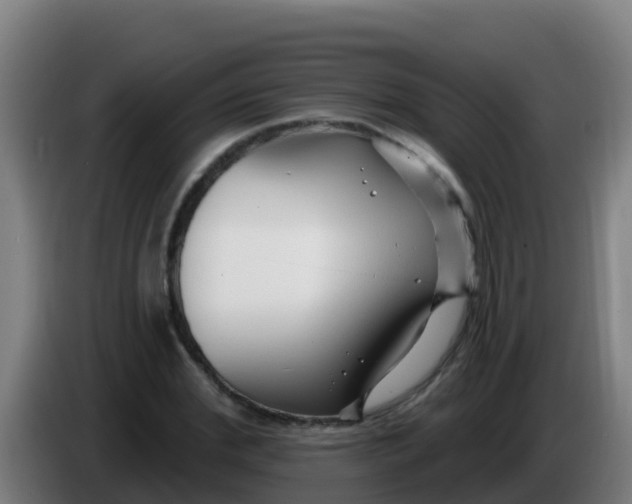 X0000086300972200704201939