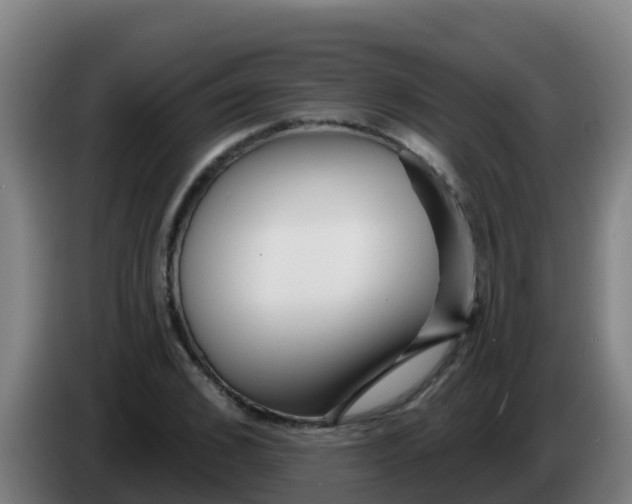 X0000086300976200704201939