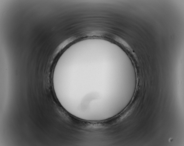 X0000086300978200704201939