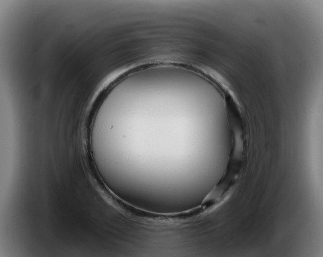 X0000086300981200704201939