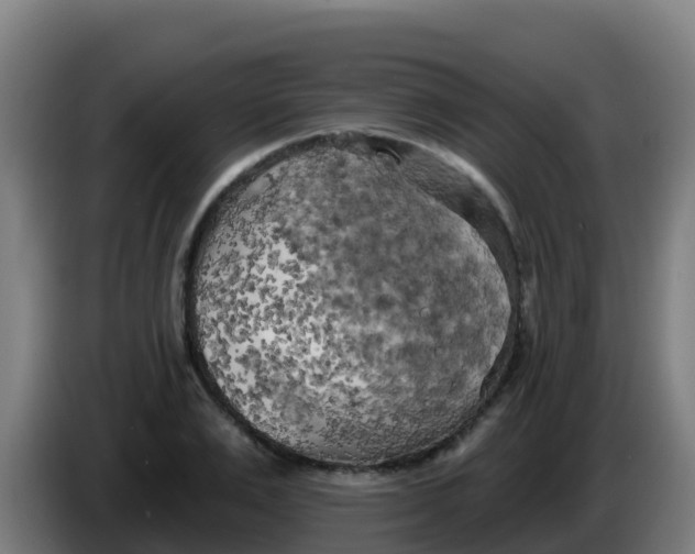 X0000086300983200704201939