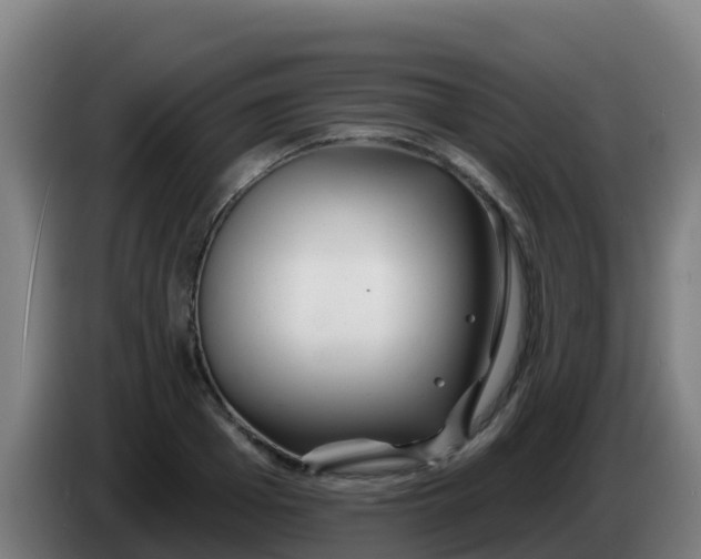 X0000086300985200704201939