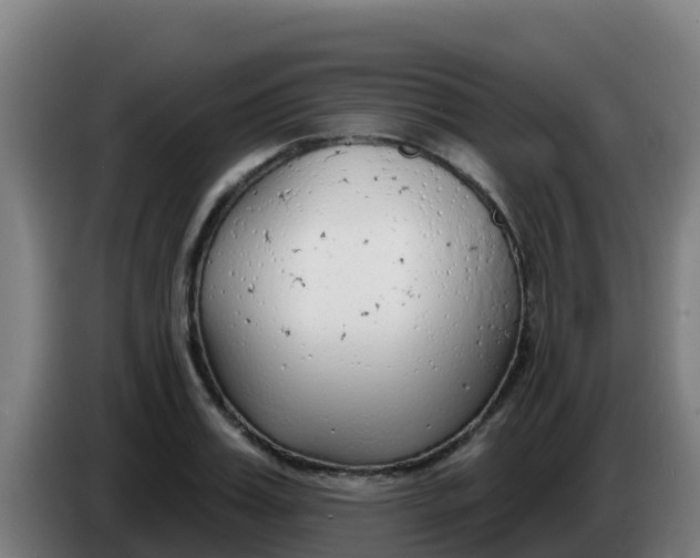 X0000086300987200704201939