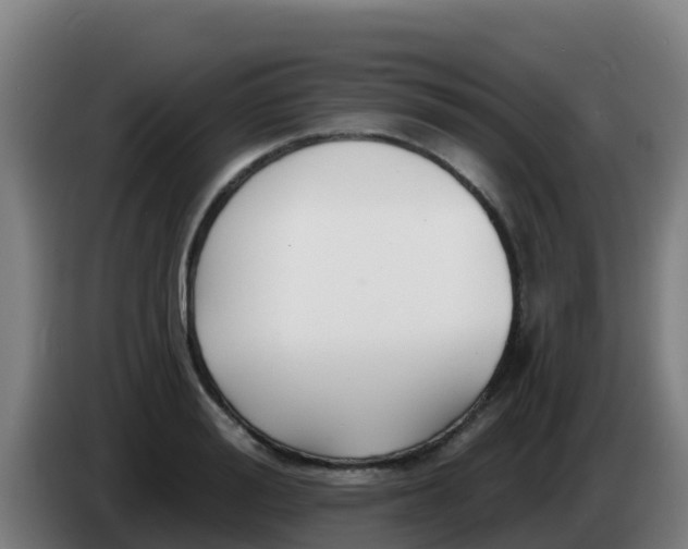 X0000086300988200704201939