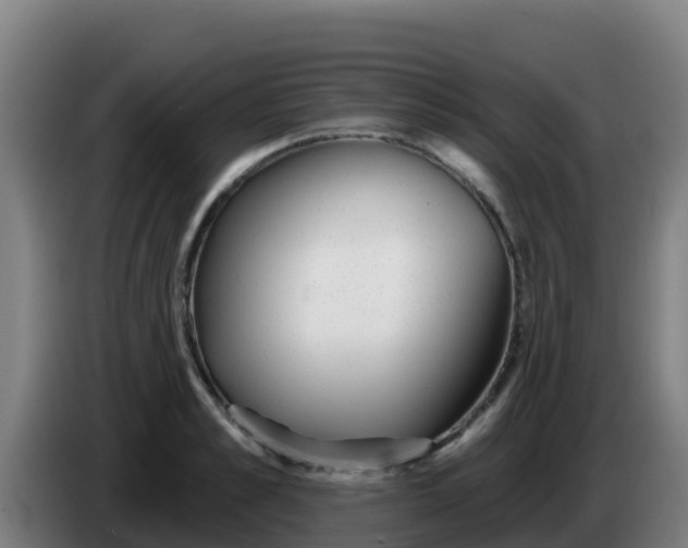 X0000086300989200704201939