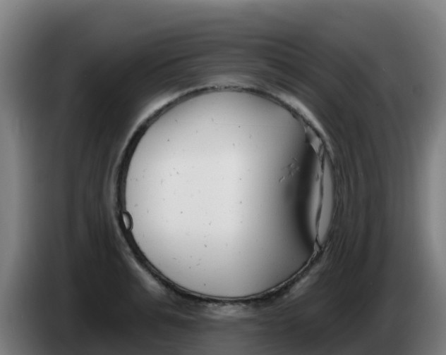 X0000086300991200704201939