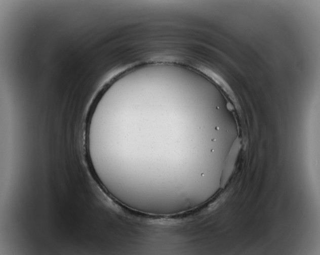 X0000086300992200704201939