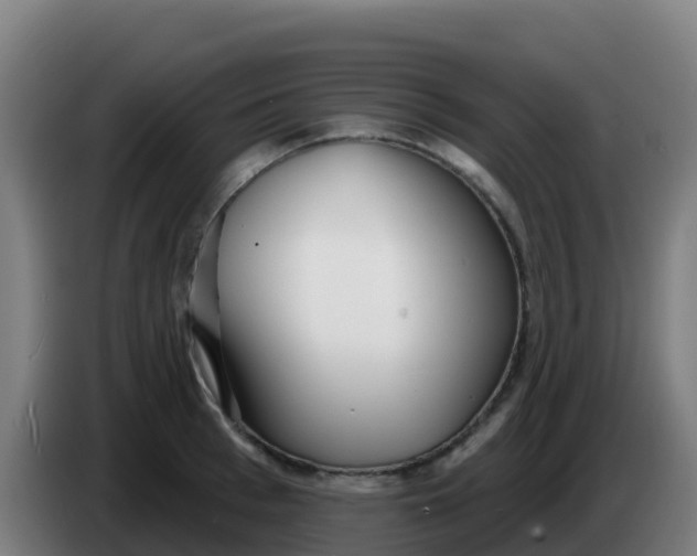 X0000086300993200704201939