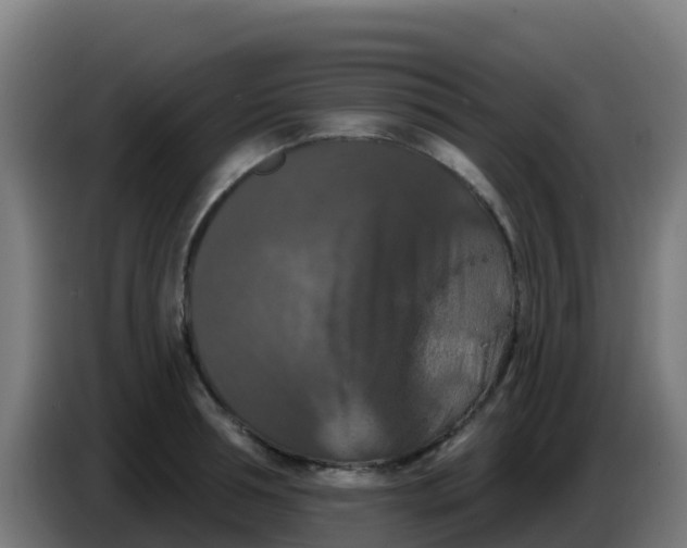 X0000086300994200704201939