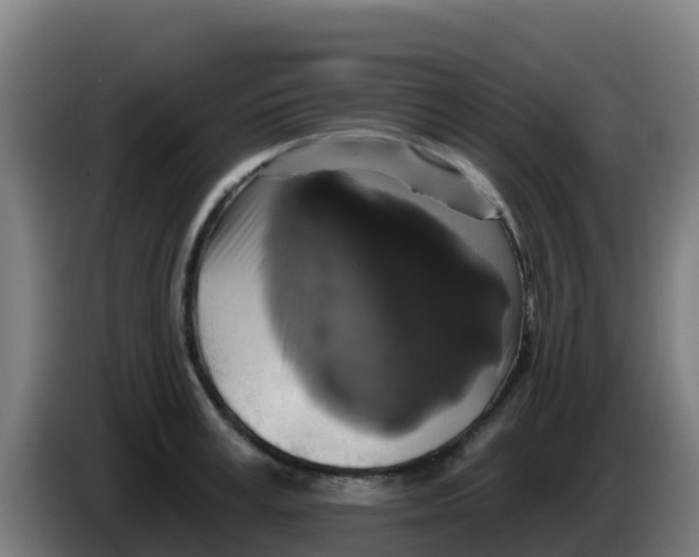 X0000086300995200704201939