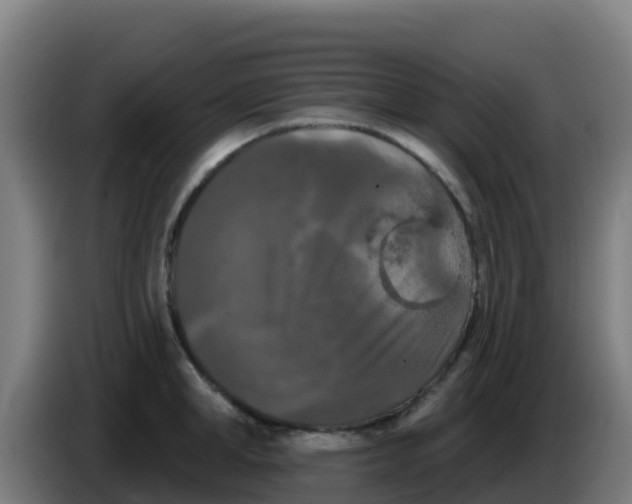 X0000086300998200704201939