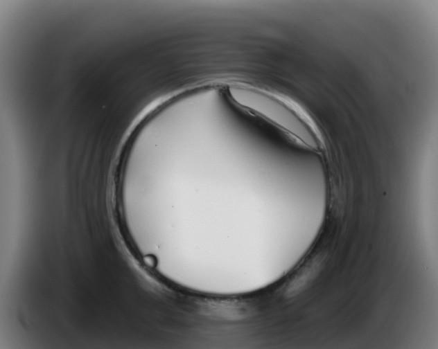 X0000086300999200704201939