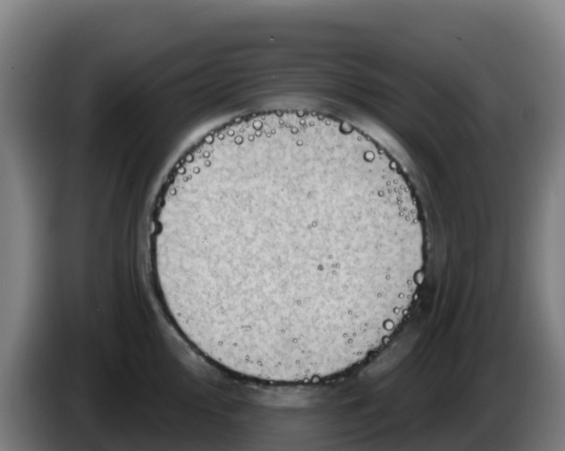 X0000086301000200704201939