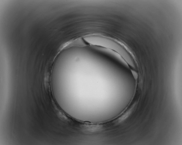 X0000086301001200704201939