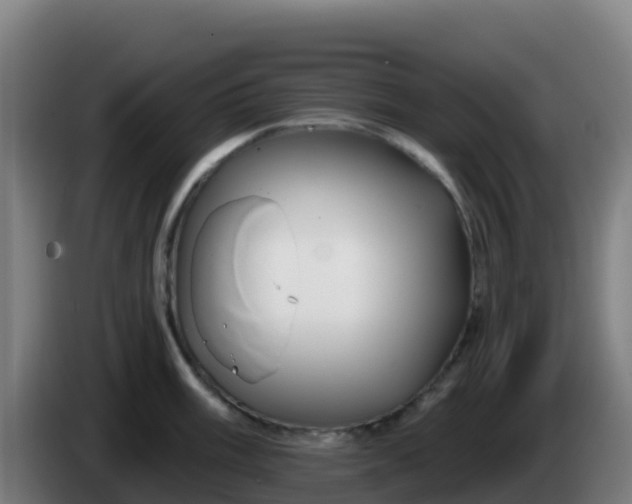 X0000086301003200704201939