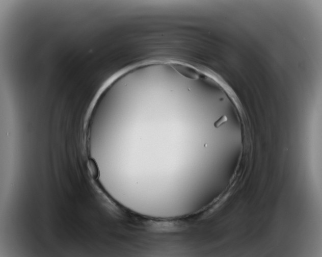 X0000086301004200704201939