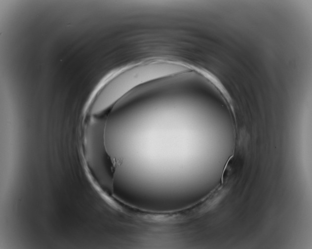 X0000086301005200704201939