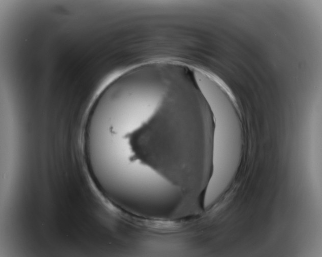 X0000086301007200704201939