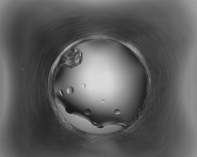 X0000086301008200704201939