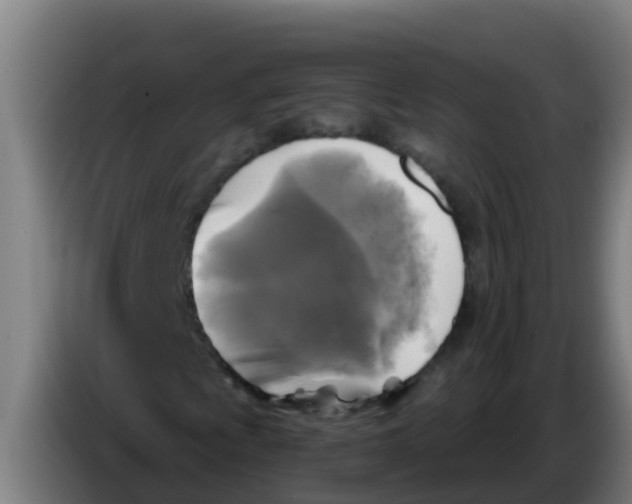 X0000086301009200704201938